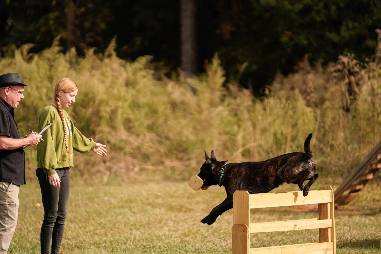 Pet sitting and in-home animal care 11